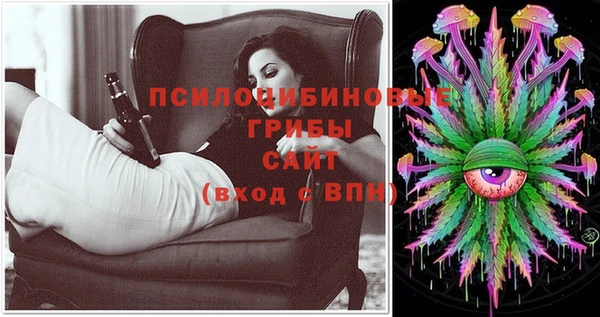 соль ск Нефтекумск