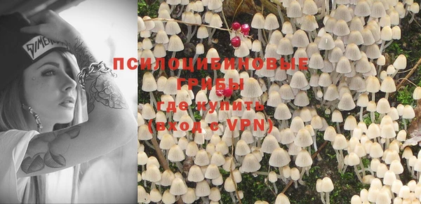стафф Новозыбков