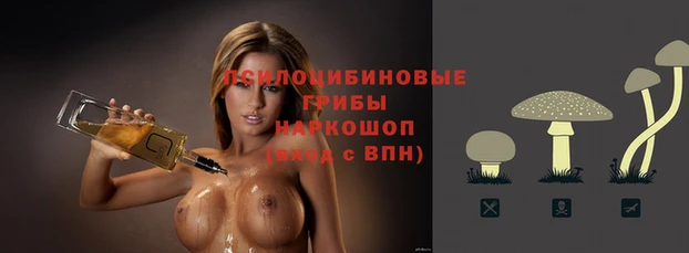 соль ск Нефтекумск