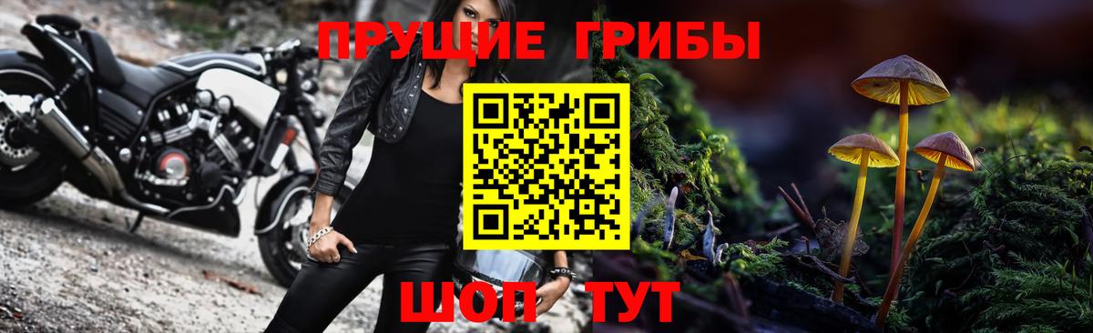 Галлюциногенные грибы Psilocybine cubensis Отрадный