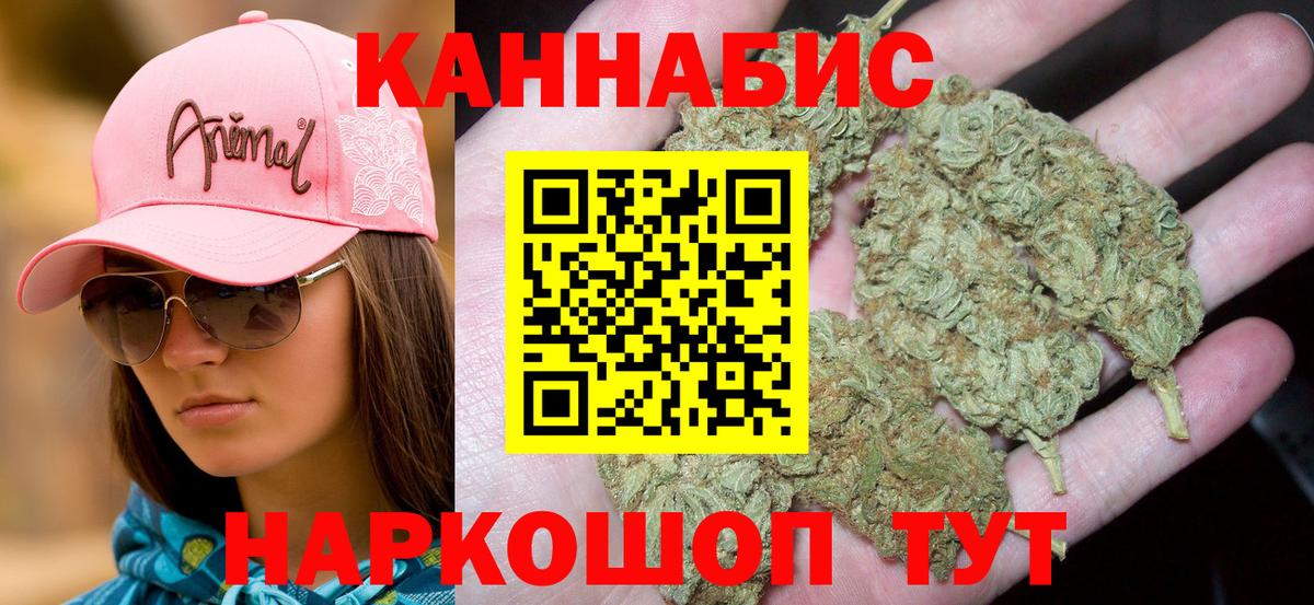 Каннабис сатива Отрадный